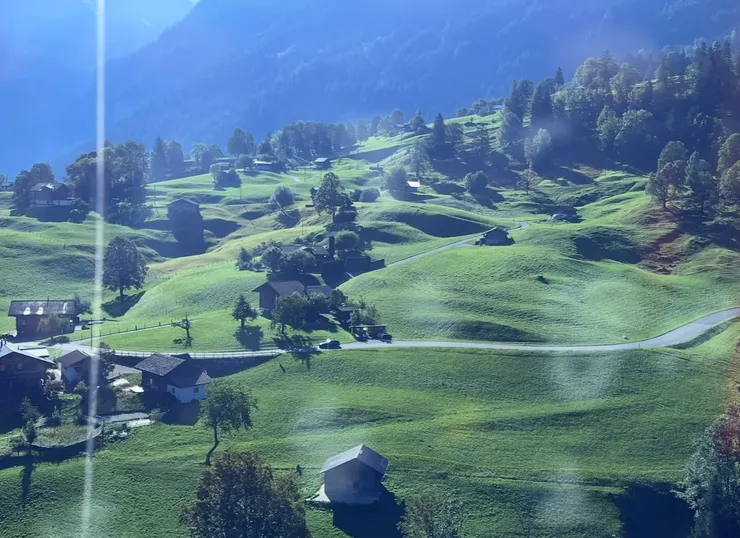 就算隔著窗戶拍出的效果不好，還是忍不住的拍