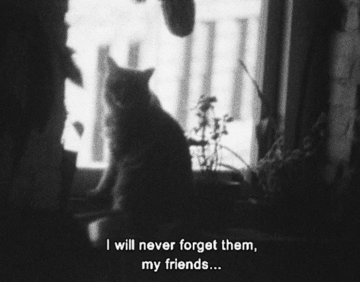 As I was Moving Ahead Occasionally I Saw Brief Glimpses of Beauty (2000)