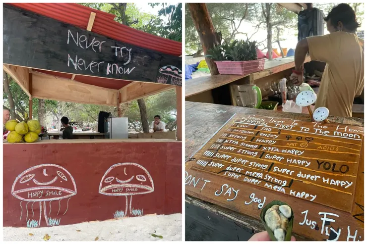 吉利群島上的魔幻蘑菇  蕭雅心提供