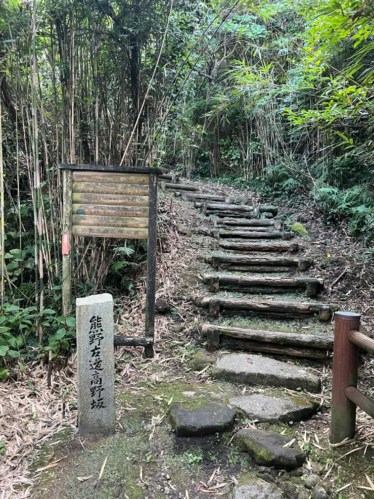 這個樓梯再往上已經變成小叢林