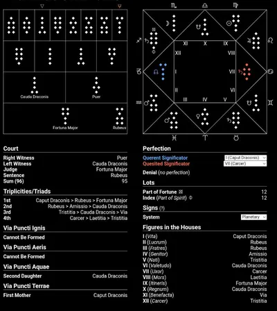 地占16盾盤卜卦運勢問健康狀況與想要完成的工作進展。