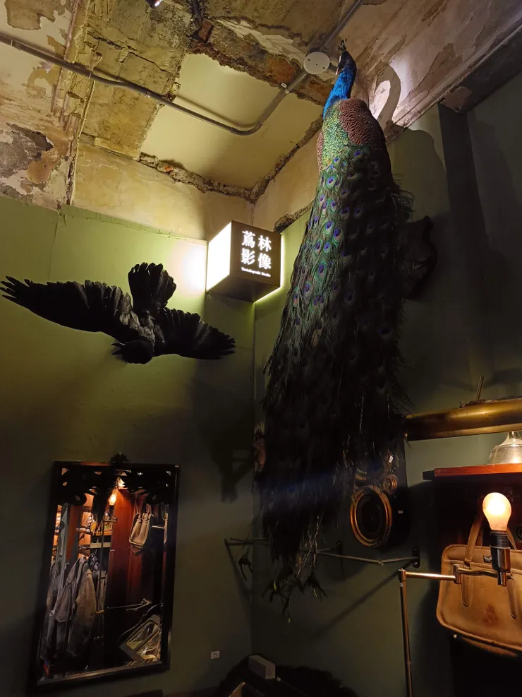 另一方的樓梯通往影像工作室