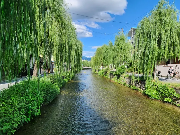 走去平安神宮的路上經過的小河川,水很乾淨而且風景很美。(很想下去泡腳)