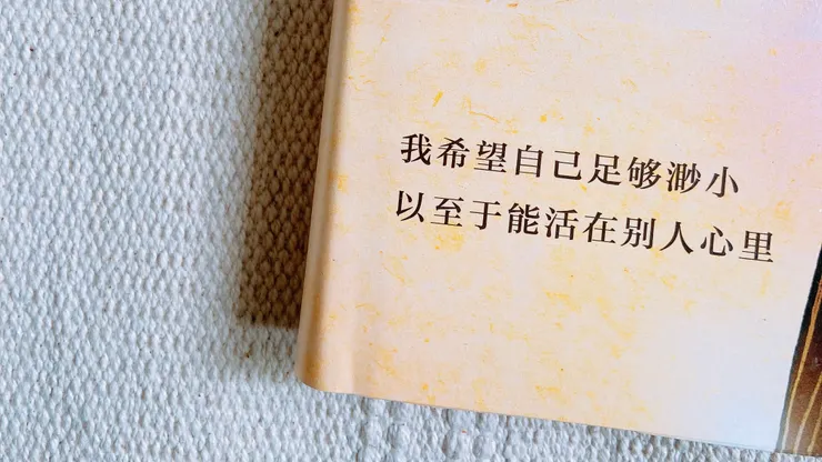 對他人的悲憫，一種含蓄而深沉的共情，為這無動於衷的星星監獄裡，我們所有人的處境。