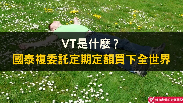 VT 是什麼?我用國泰複委託定期定額買下全世界的實戰紀錄