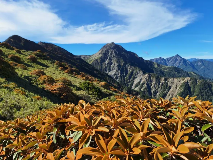南湖的杜鵑／南湖大山／中央尖山