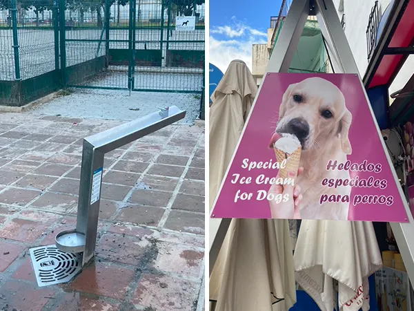 (左)人犬共用飲水機，後面還是專門可20公斤以上的狗公園 (右)專門給狗狗的冰淇淋