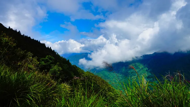 脫俗的山景