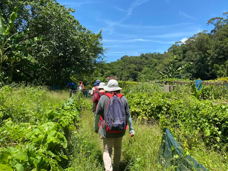 跑到人家的菜園裡頭來了