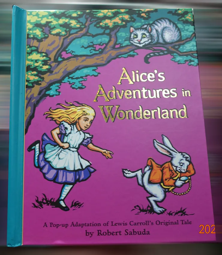 我買的是美國版(聽說有很多國版本)