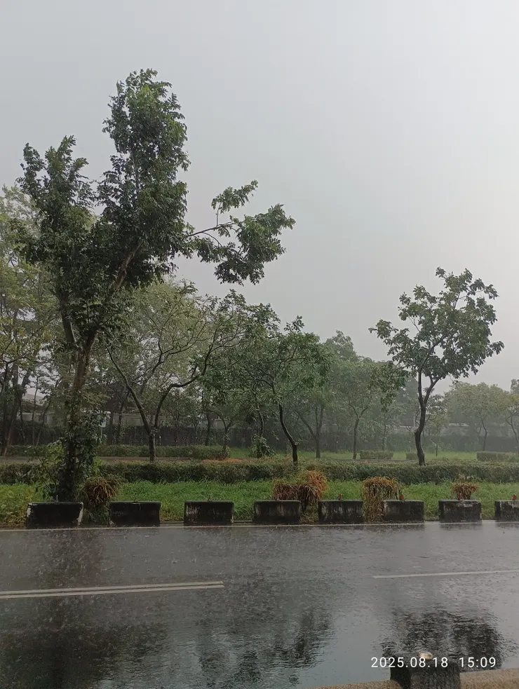 斷雲含雨人易閒，自拍攝