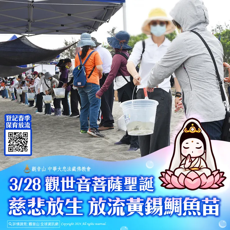 3月28日 觀世音菩薩聖誕慈悲放生 觀音山放流黃錫鯛魚苗