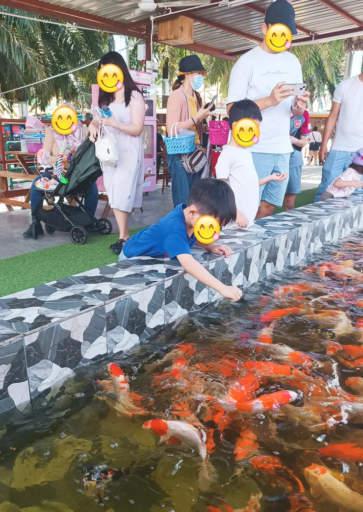 臨時工人餵食中。