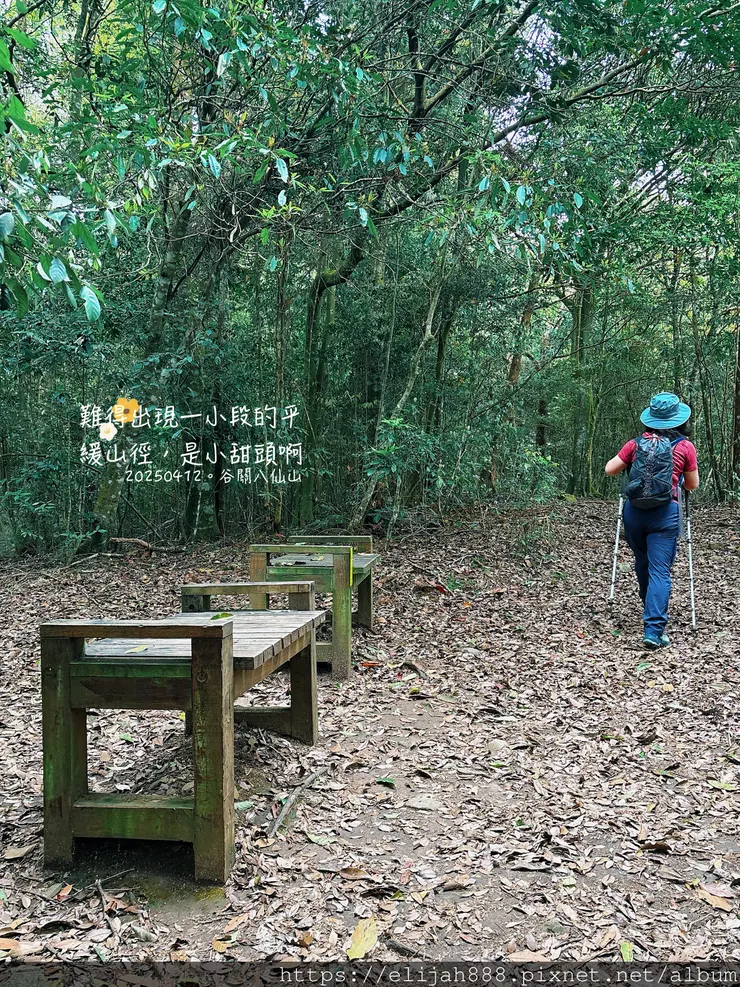 【谷關健行/住宿】谷關七雄老大。海拔2366公尺八仙山主峰。