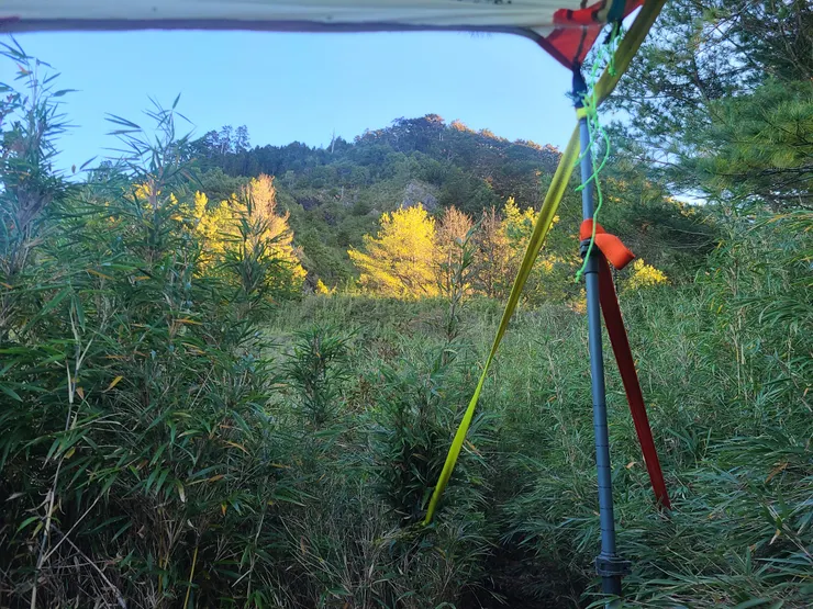 感謝給了個好天氣