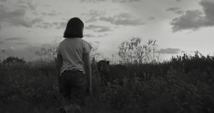 遼闊的自然風光和洗鍊的黑白攝影，是本片一大看點