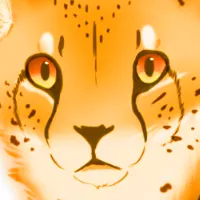 兔子尾巴的沙龍