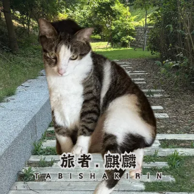 旅者的白晝之旅