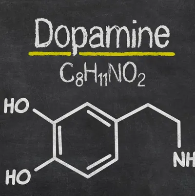 Dopamine的沙龍
