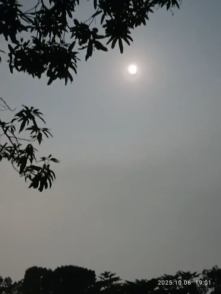 千里清秋月華生