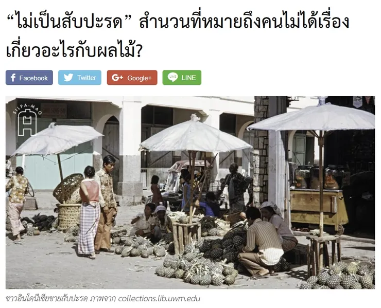 【原文】Silpa – “ไม่เป็นสับปะรด” สำนวนที่หมายถึงคนไม่ได้เรื่อง เกี่ยวอะไรกับผลไม้?