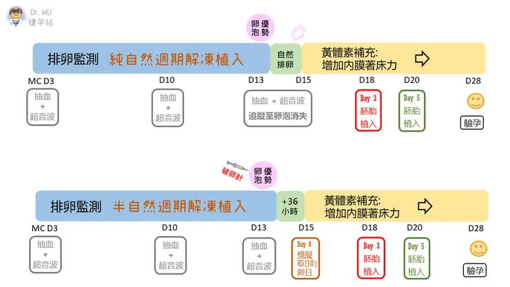 資料來源:Dr. WU 捷孕站 吳劭穎醫師