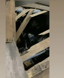 住市場第二個好處，好多🐱🐱