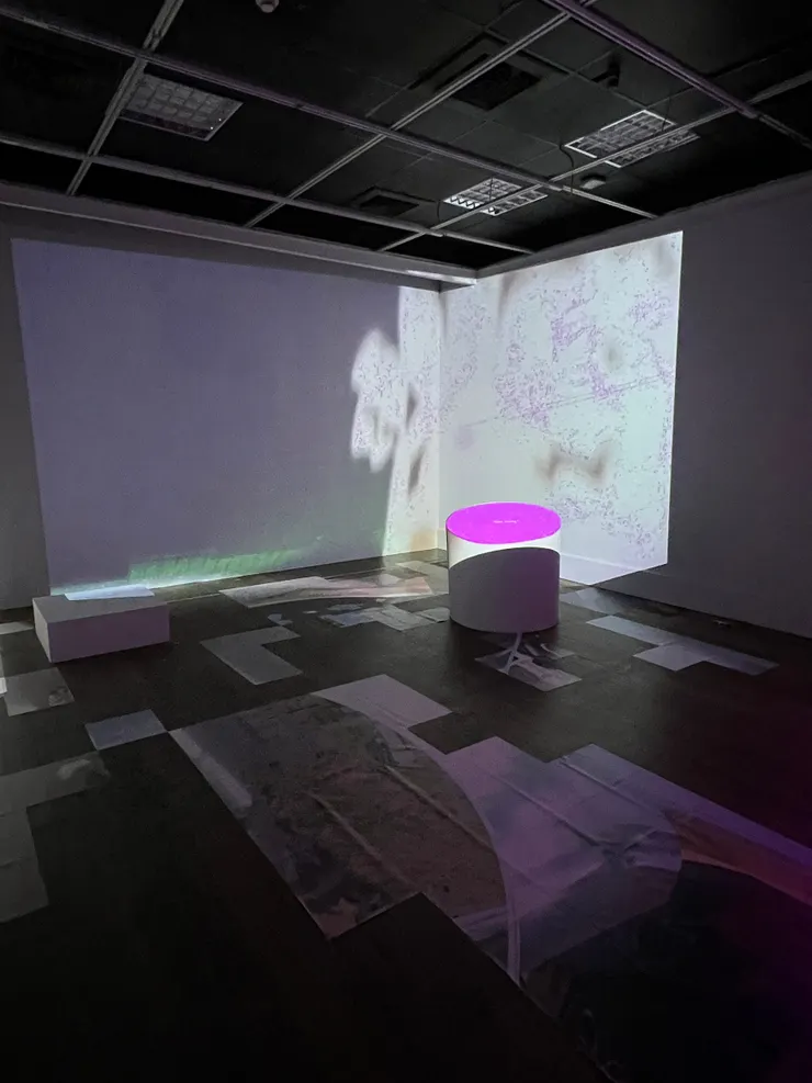 《Feel your information flow and body through this shell layer of the&nbsp;body》