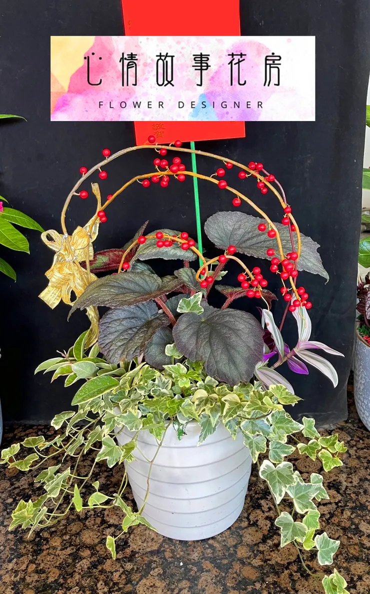 台南買盆栽，心情故事花房是您最好的選擇！這家花店擁有台南最多樣式和款式的盆栽，特別是觀葉植物，更是心情故事花房的強項之一