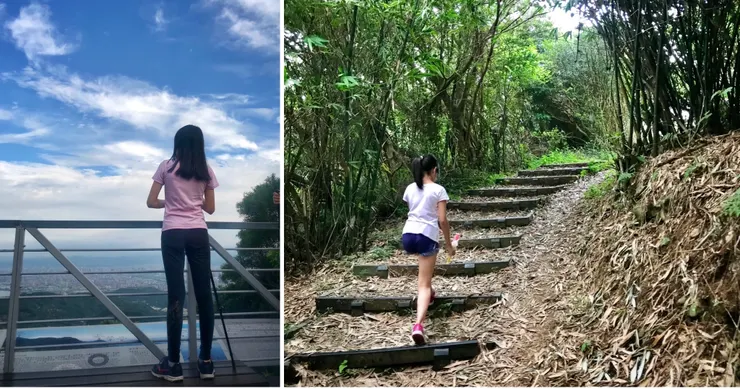 右圖：八里盛產竹筍，步道很多竹林