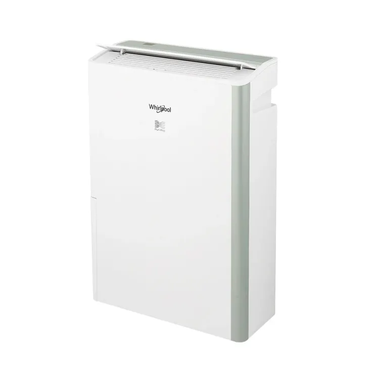 Whirlpool惠而浦 DS202HDTW 第六感智能清淨除濕機10L