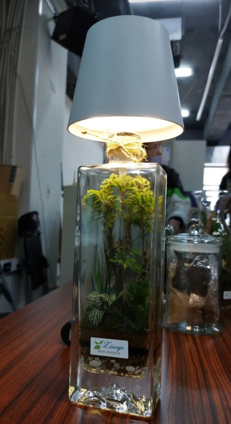 燈光裝飾的設計增強光合作用