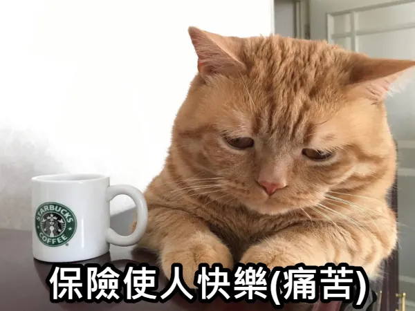 保險背的東西比我想像多...