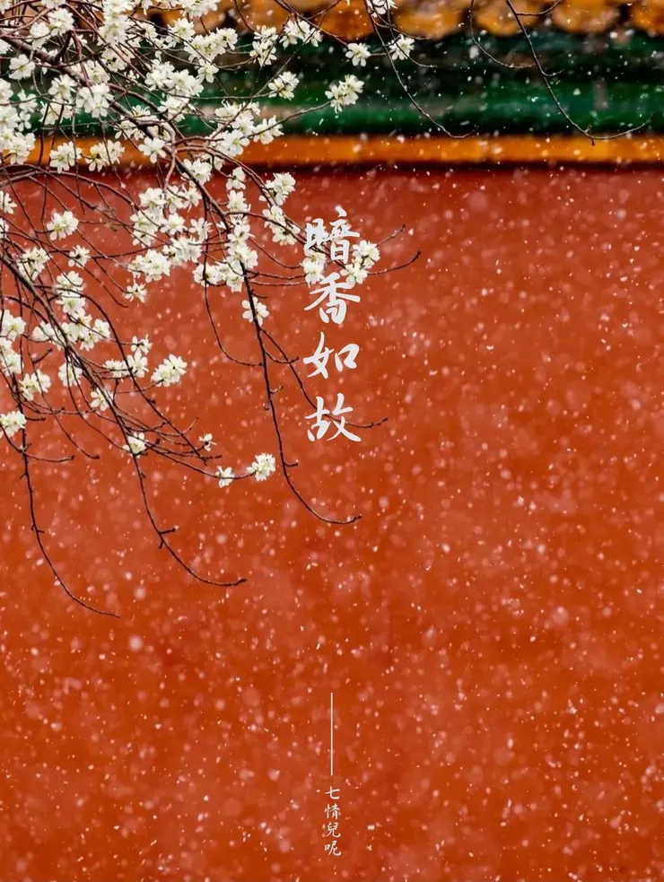 Tag：發紅包發到沒錢的財神×早晨陽光透不進來的臥室×撒嬌的貓咪