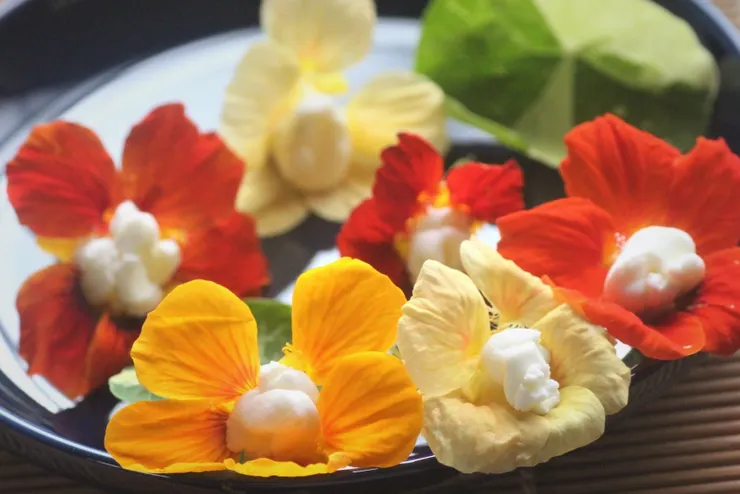 金蓮花沙拉 把羊奶乳酪擠進金蓮花的筒狀花冠裡，可交融出非常特殊的風味來。