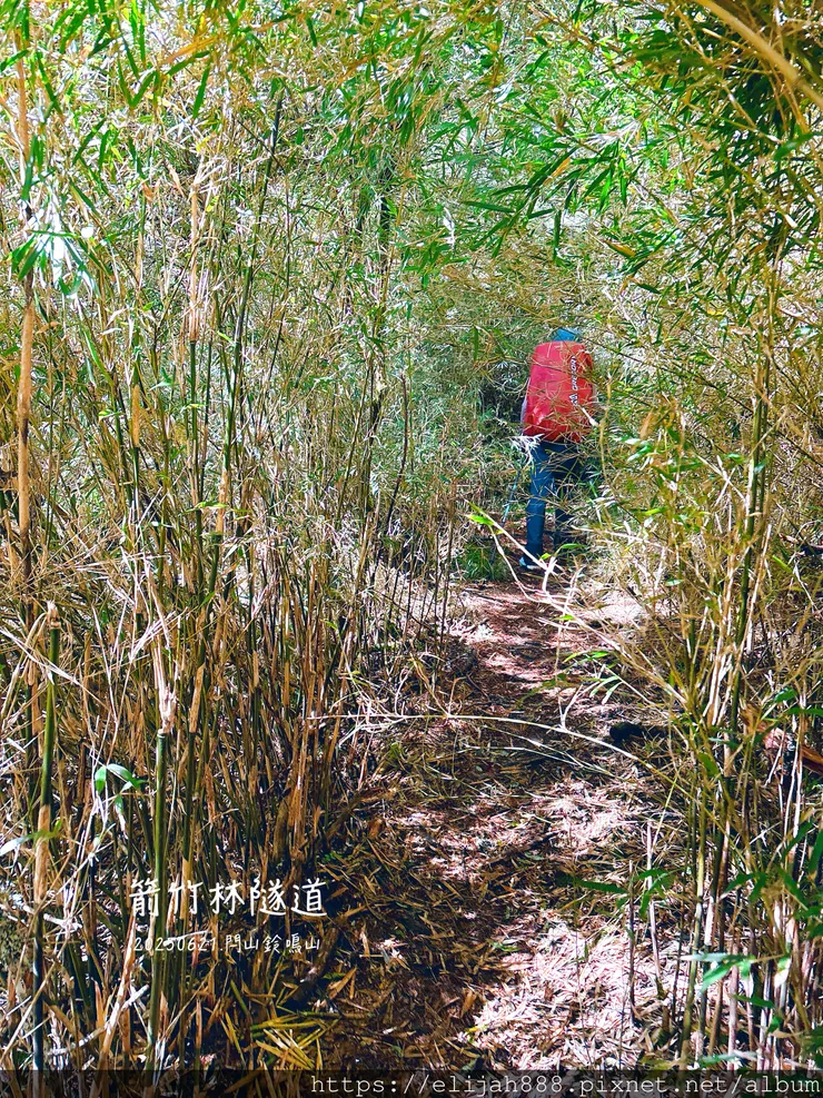 【閂山鈴鳴.挑戰兩日走50公里】王小明民宿/730林道/ 海