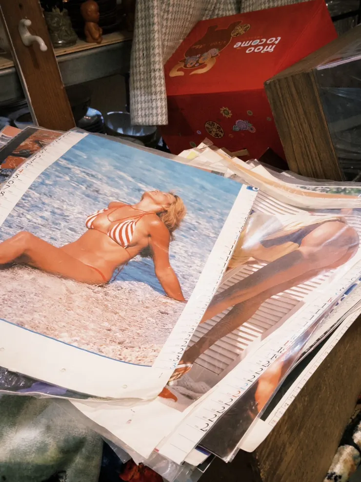 （礙於尺度選了沒有露點的海報當封面）