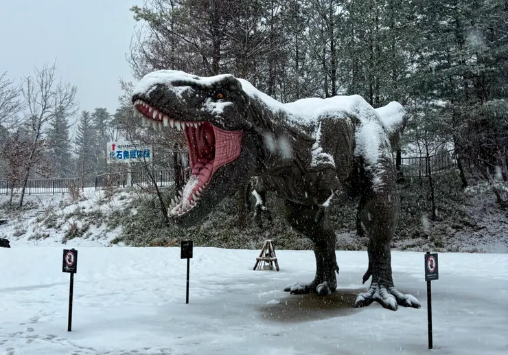 接駁車一下來,就可以看見暴龍「兇猛地」跟我們打招呼XD。人生第一次看到下雪竟然是這個情境,真是有趣!