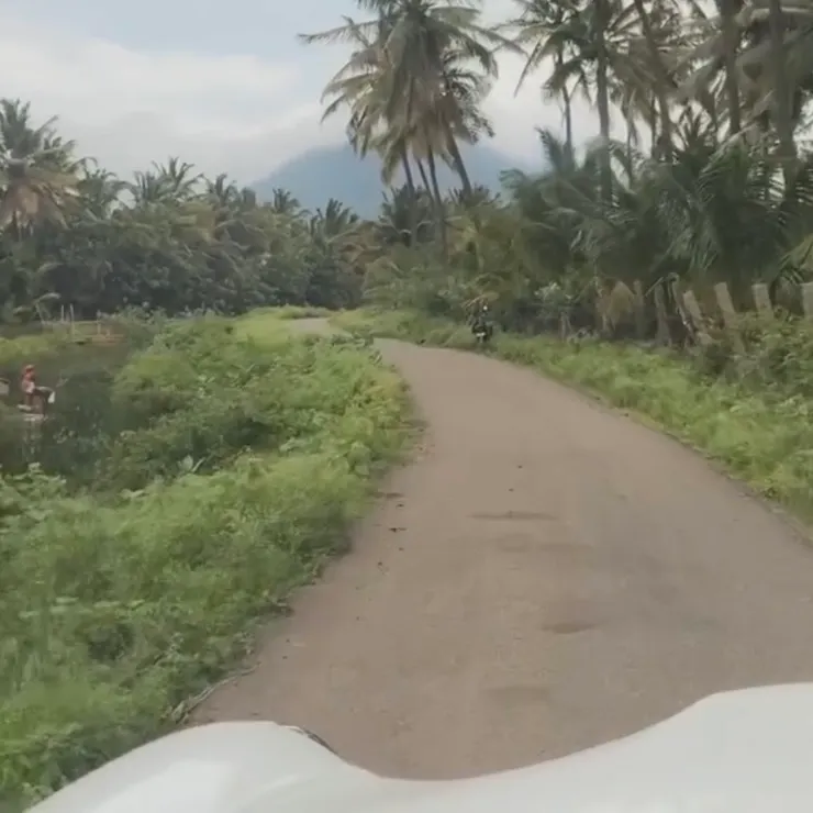 根本是鄉間小路