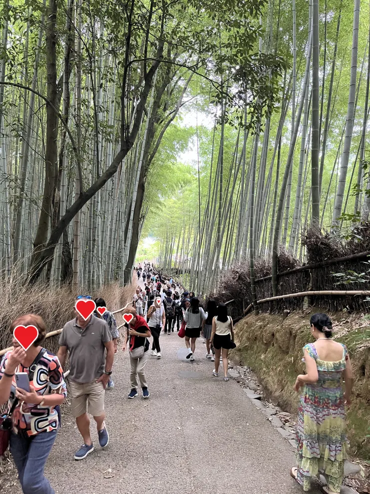 雖然觀光客真的稍多但還是能感受到幽靜的氣氛，不過當天是禮拜日所以也不能太苛求