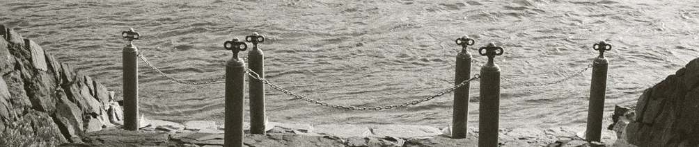 ‧· 𓆝.° ｡˚𓆛˚｡ °.𓆞 ·˙‧