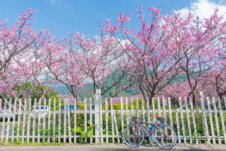 Source：Shutterstock