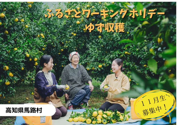 圖片來源:馬路村官網