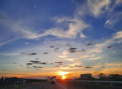 隨心鎖鬱，隨預而安