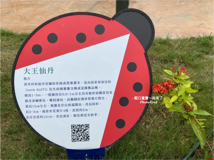 散步時處處可見貼心說明牌。