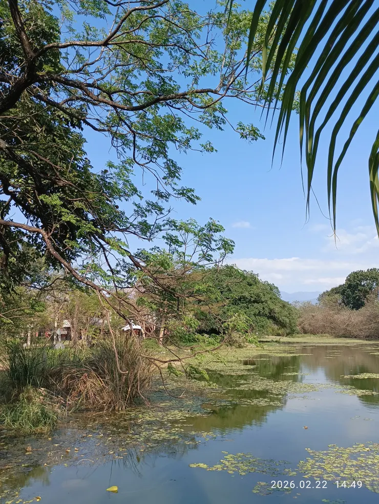 湖澄  鏡明  雲影杳
