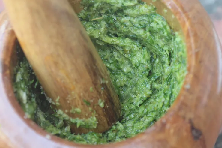 早在東漢 就已有採收韭花搗醬的習俗