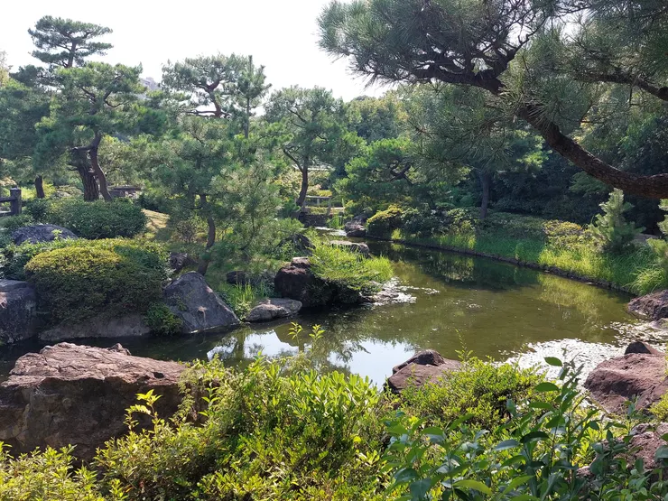 右邊池塘的樣貌~