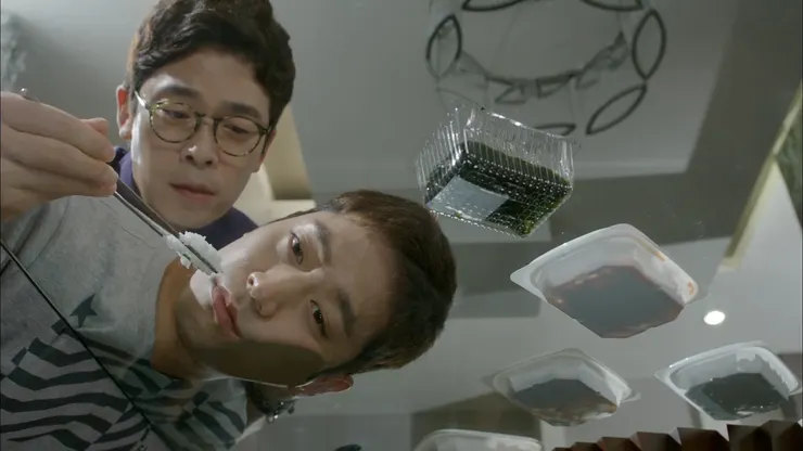 圖片擷取自網路