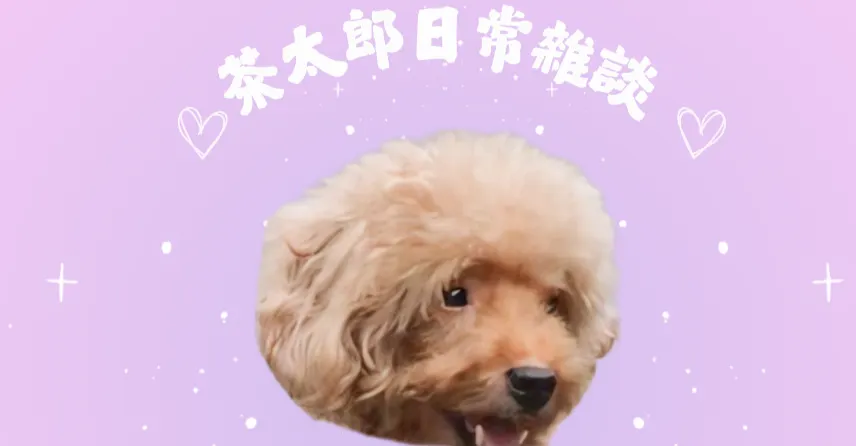 茶太郎日常雜談的沙龍